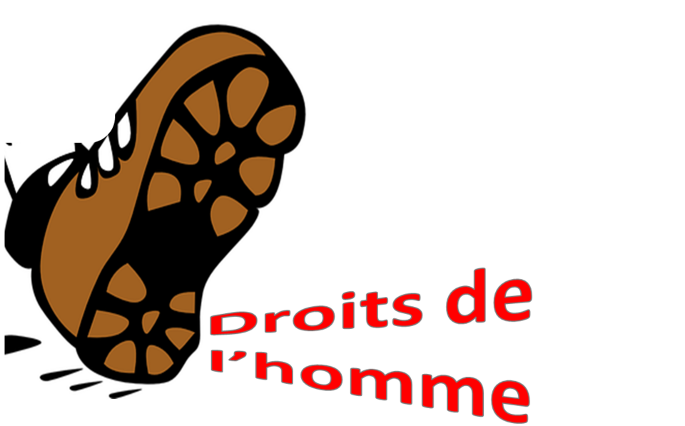 UDC-CEDH Rémy